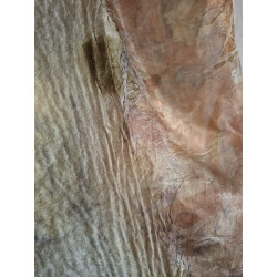 Chalina Seda Ecoprint Etérea